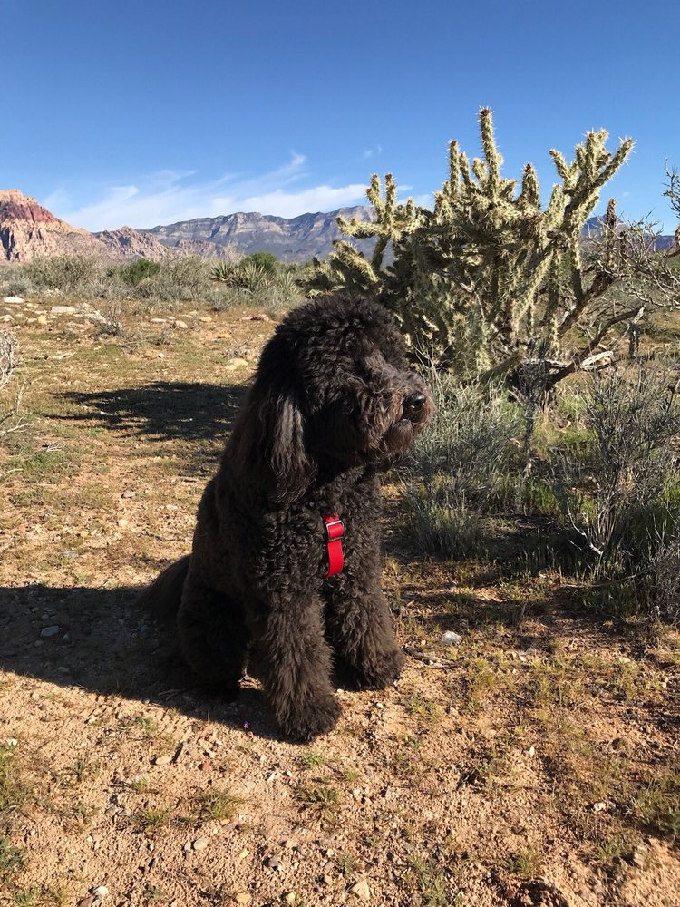 Maggie C.'s profile image