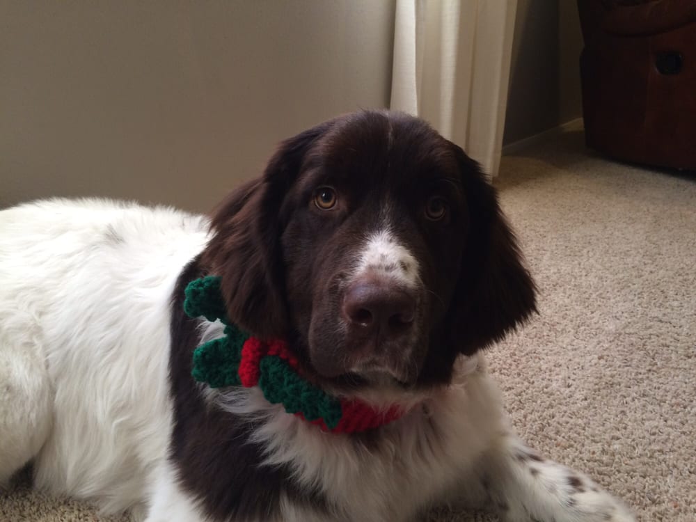 Carmen B.'s profile image