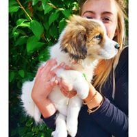 Allie N.'s profile image