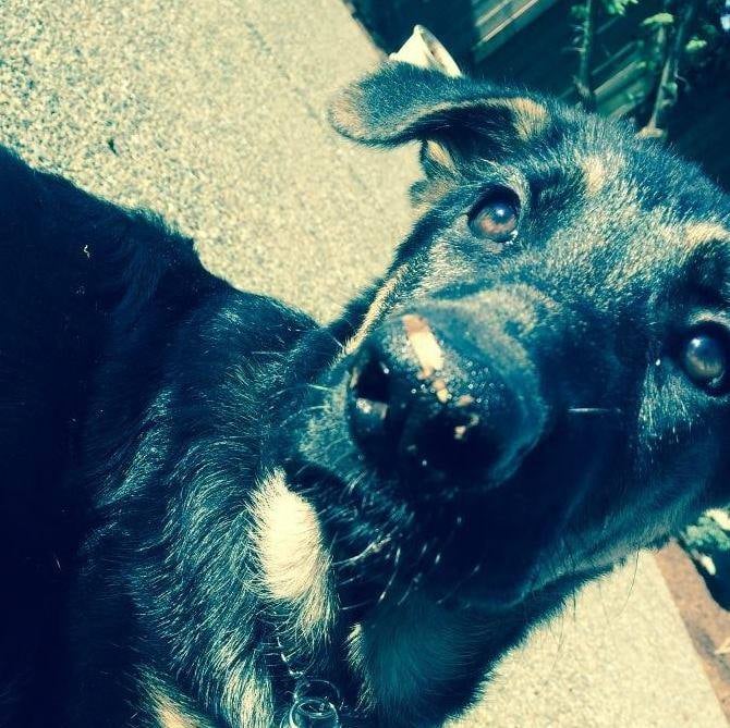 Erica F.'s profile image