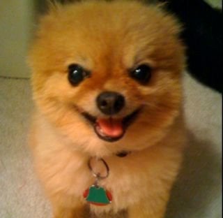 K B.'s profile image