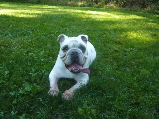 Gella A.'s profile image