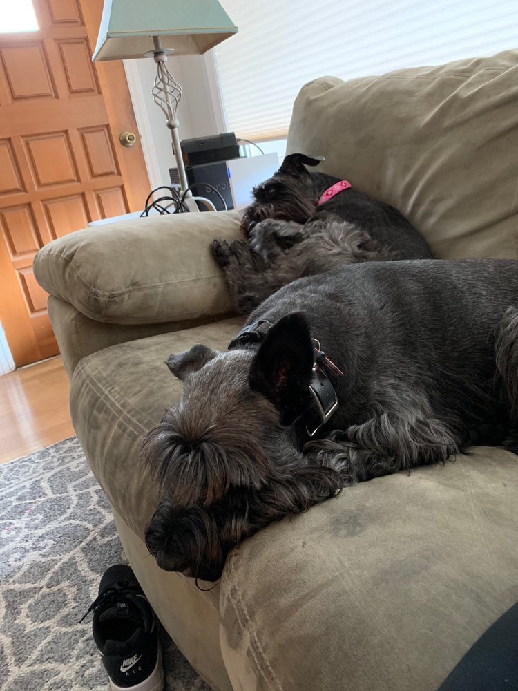 Rachel K.'s profile image