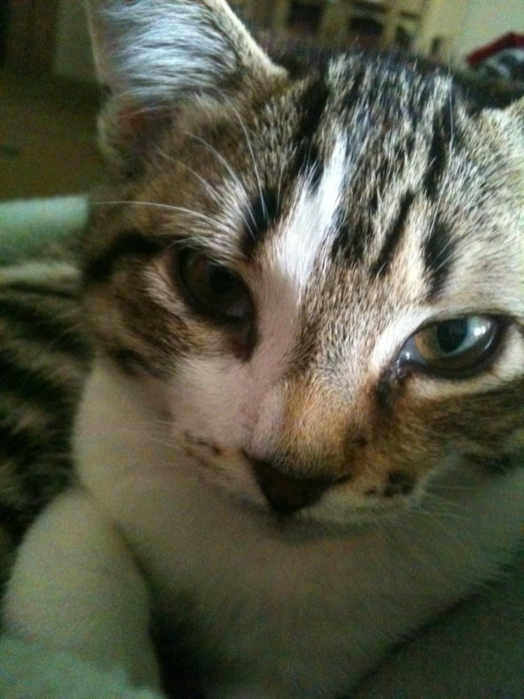 rene c.'s profile image