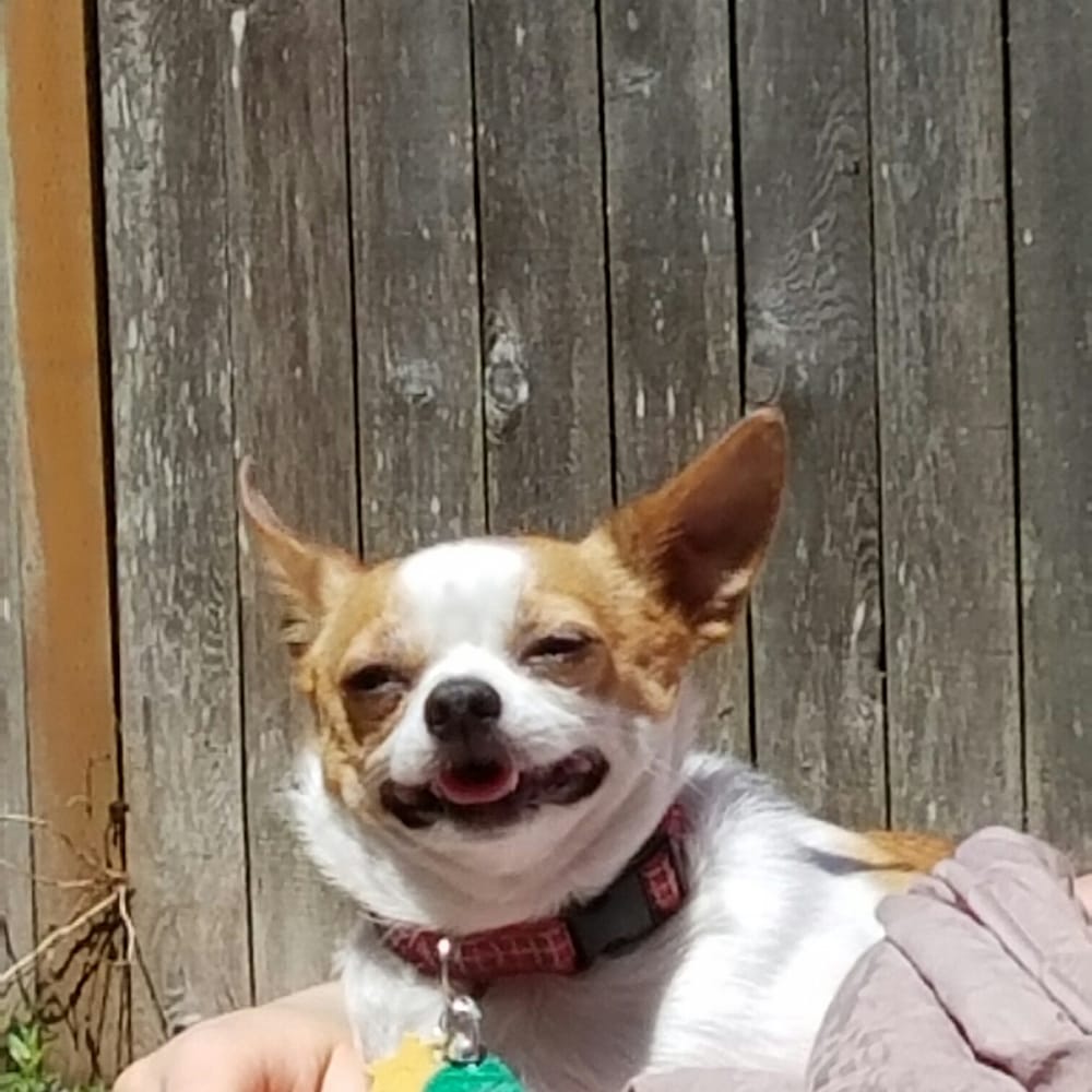 Tiffany S.'s profile image