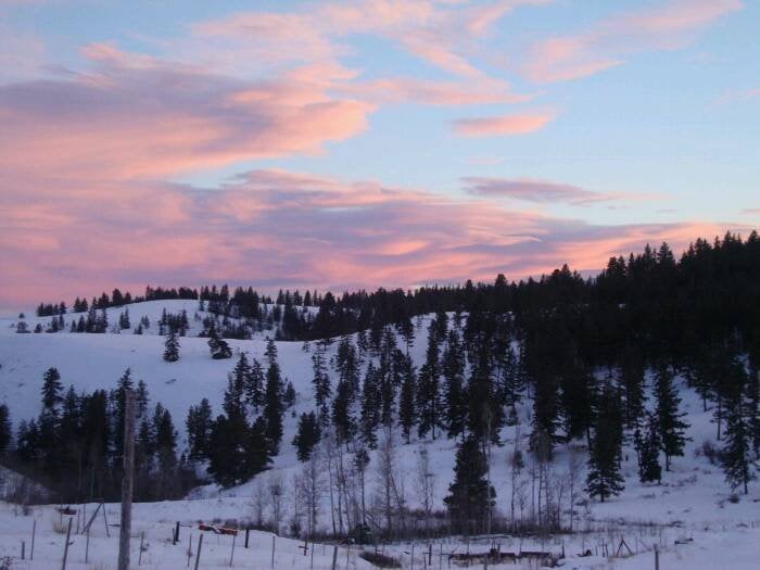 Lorali C.'s profile image