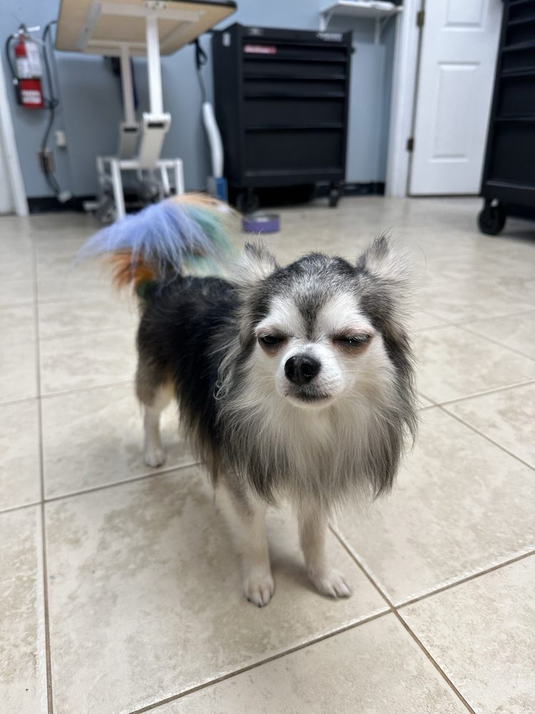 Tsz Ying W.'s profile image