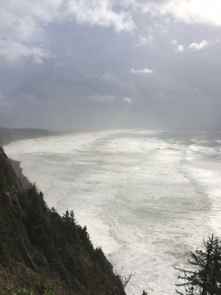 Marina f.'s profile image