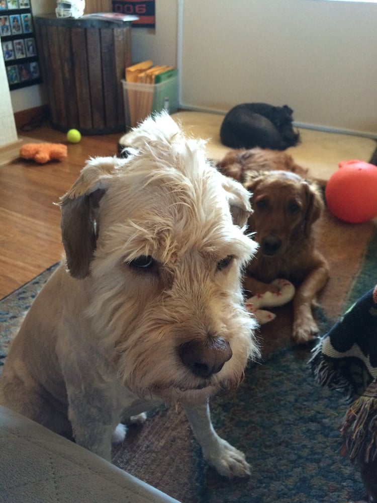 Tory G.'s profile image