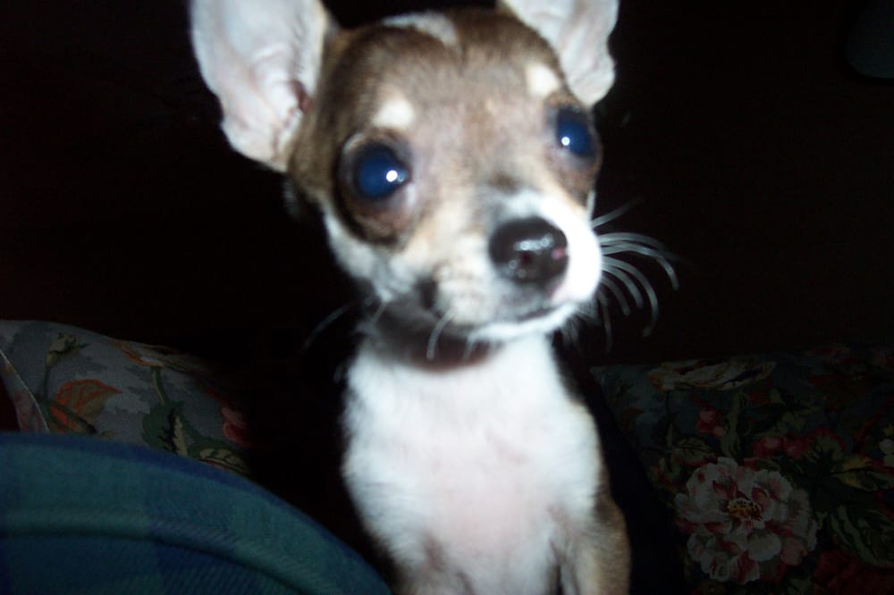 Kathy S.'s profile image