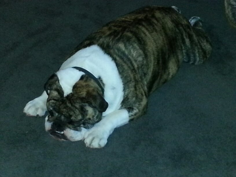 Suzan V.'s profile image