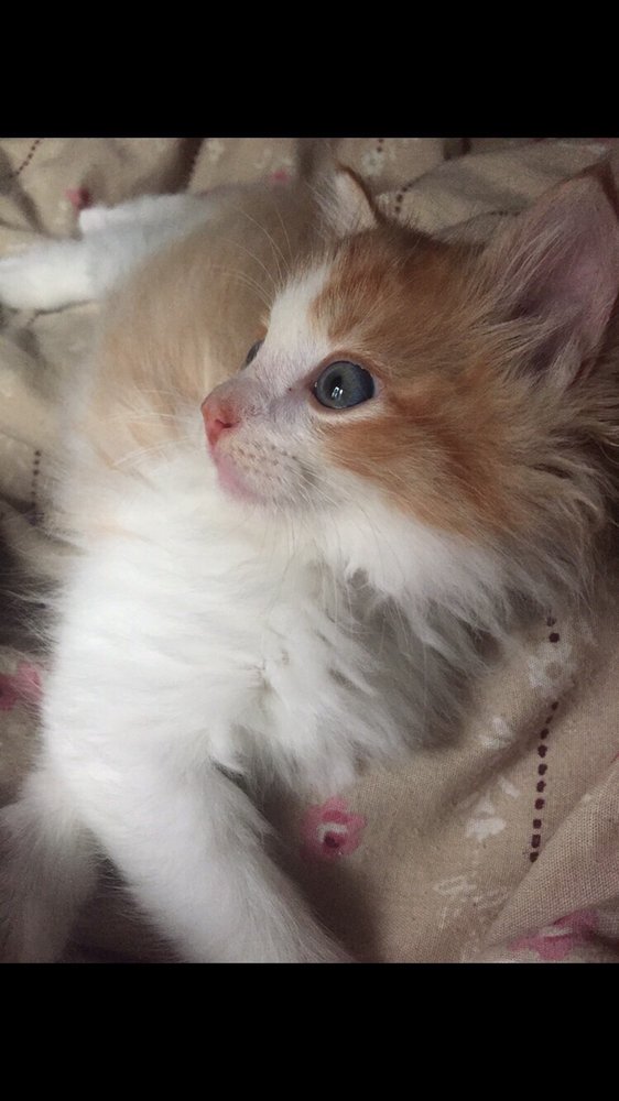 Teagan B.'s profile image