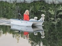 Virginia D.'s profile image