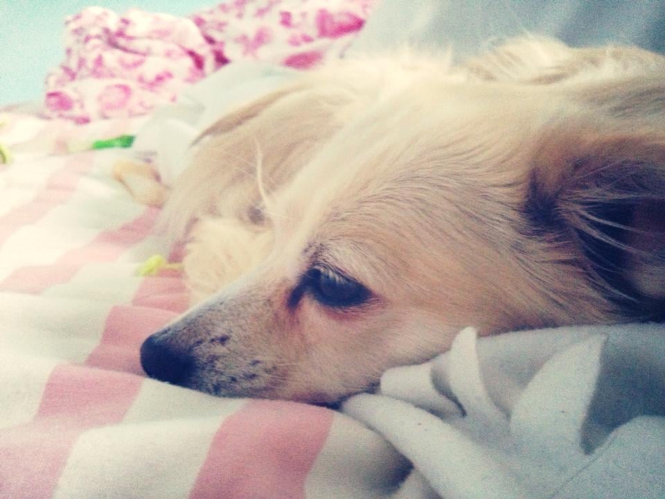 Nora H.'s profile image