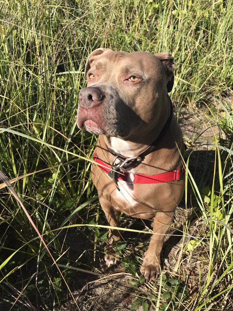 Angela L.'s profile image