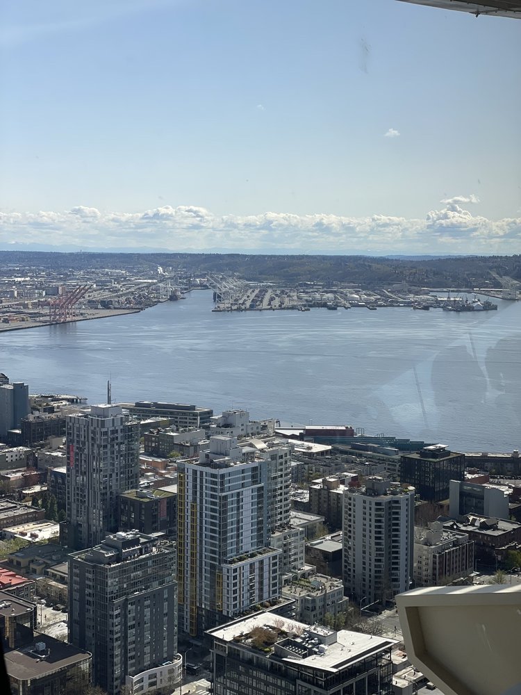 V L.'s profile image