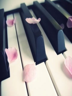 Emily H.'s profile image