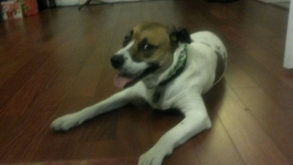 Cynthia S.'s profile image