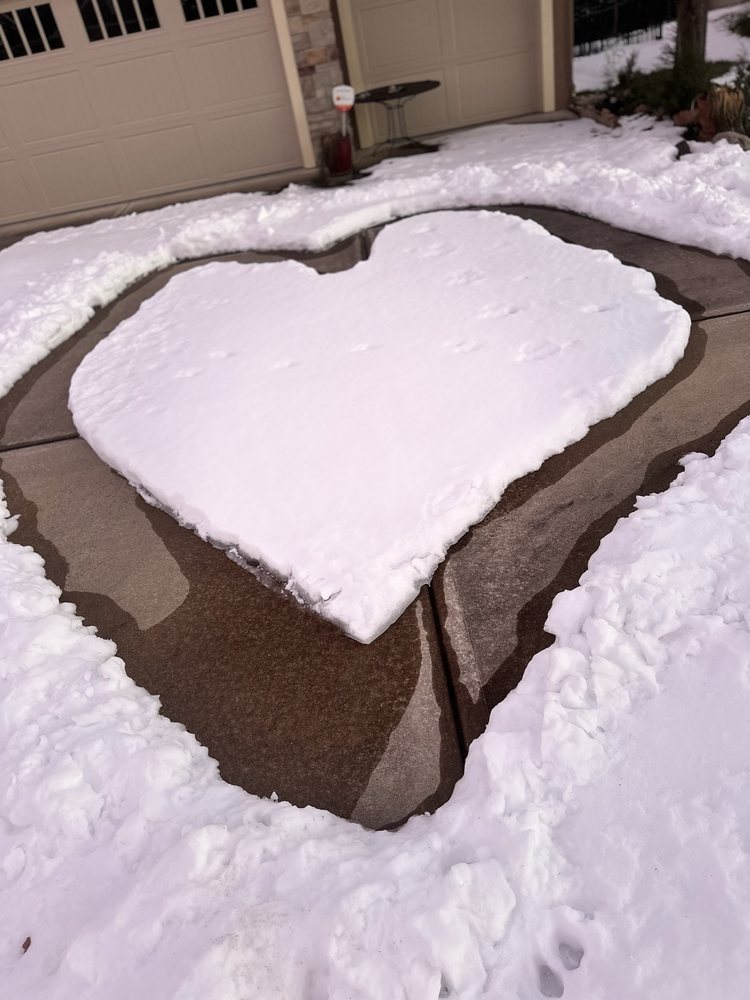 Yvonne C.'s profile image