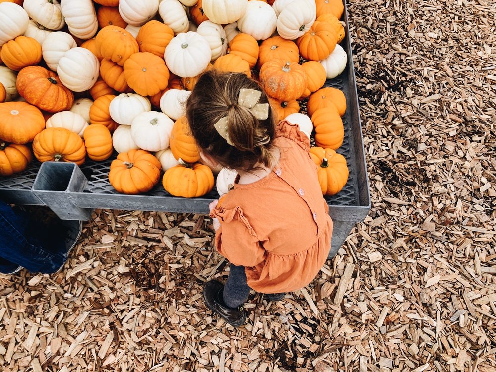 Eve C.'s profile image