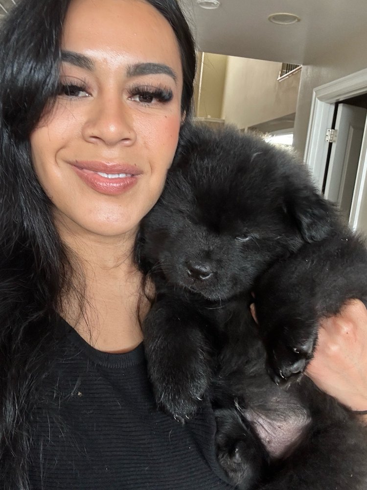 D R.'s profile image