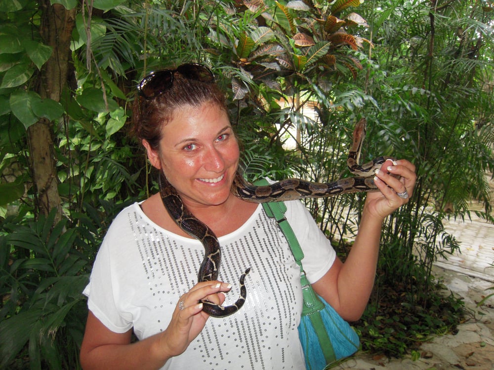 Heather H.'s profile image