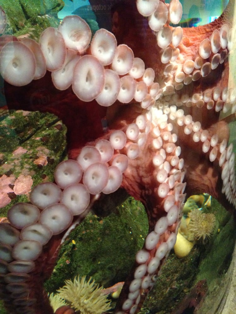 J C.'s profile image