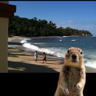 Jenny P.'s profile image