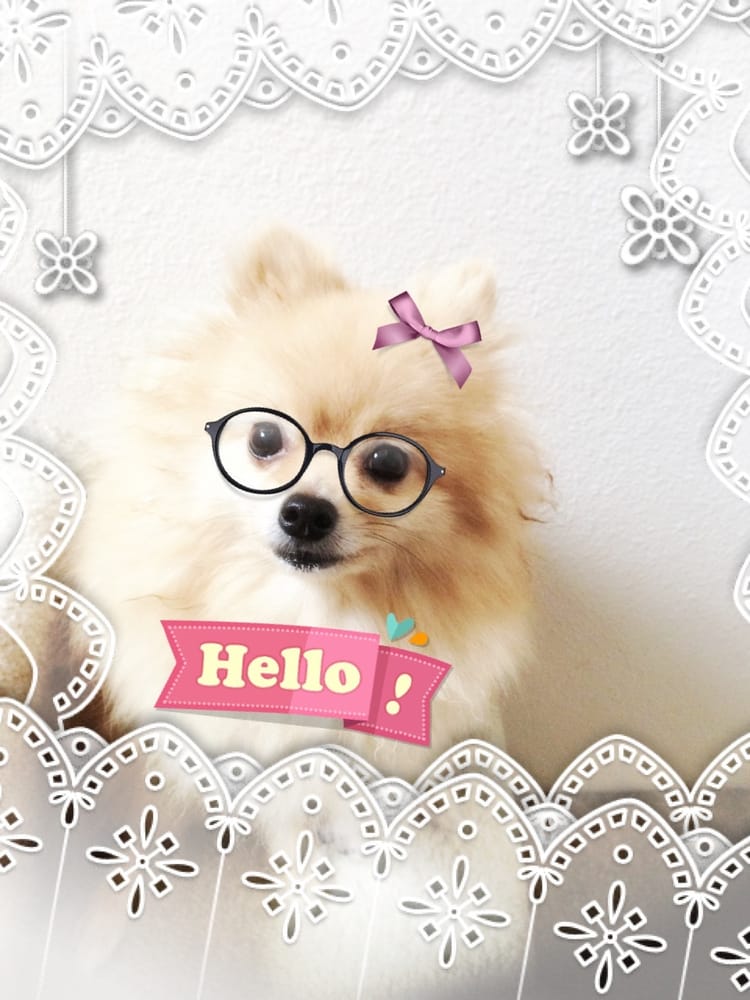 Hime C.'s profile image