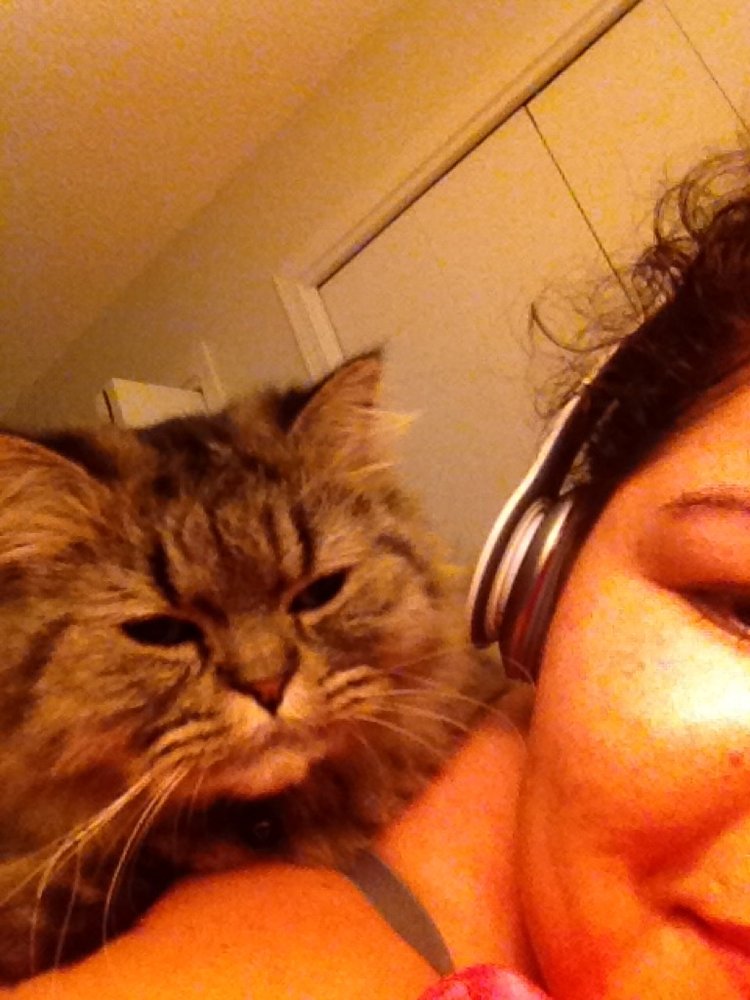 Elena S.'s profile image