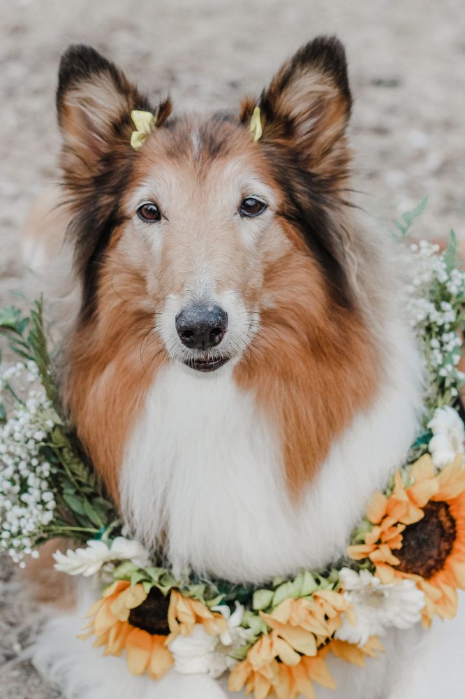 Michelle W.'s profile image