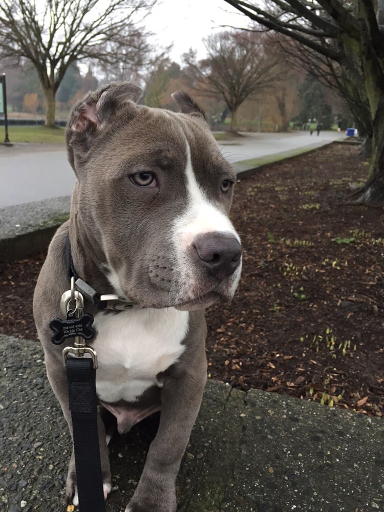 Susan L.'s profile image