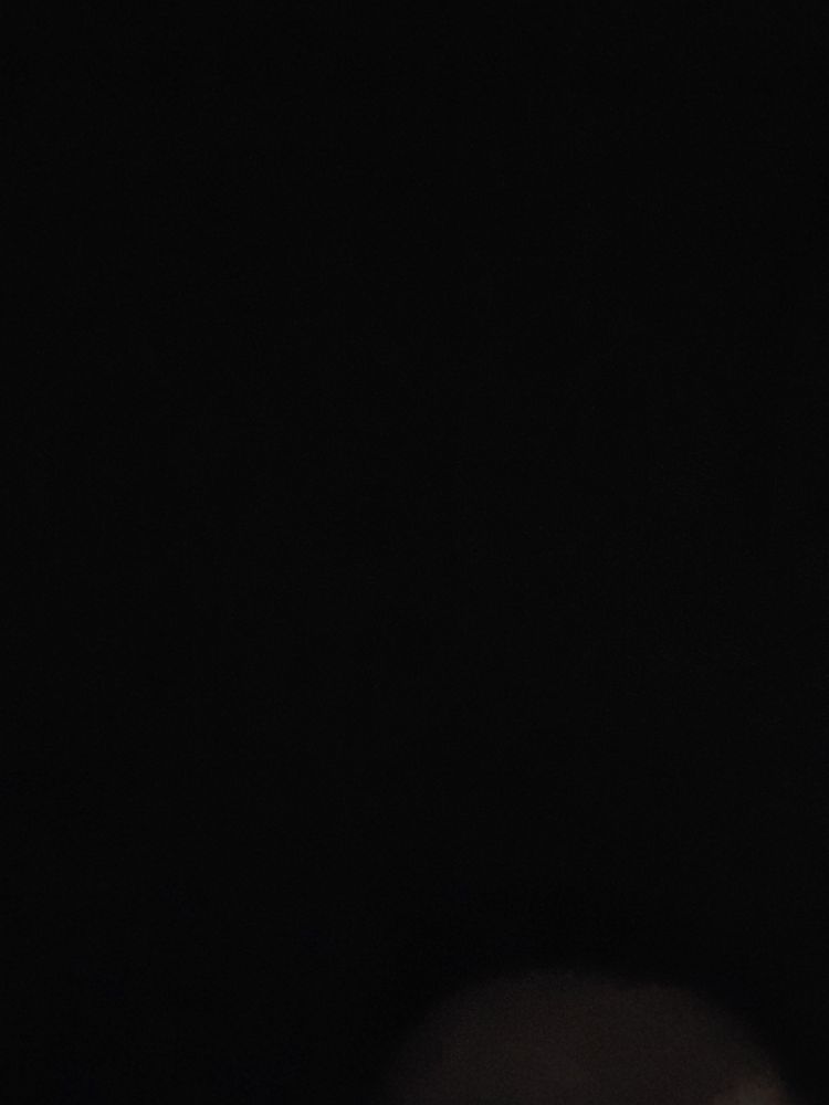 Daniel H.'s profile image