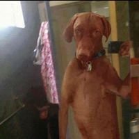 Jonathan S.'s profile image