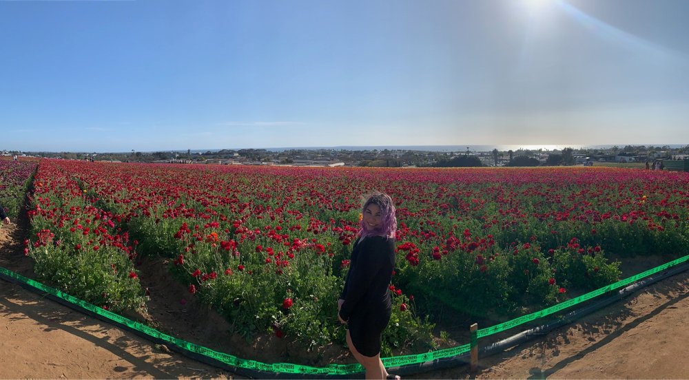 Misha G.'s profile image