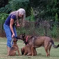 Shana Tryon's profile image