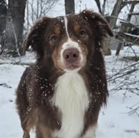 Rita Ann Vanderpool's profile image