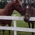 Karen Ann Raber's profile image
