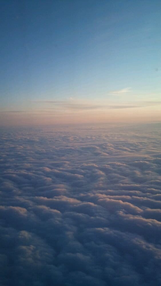 E B.'s profile image