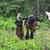 Erin Elliott Haney's profile image