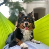 Eddie Mo's profile image