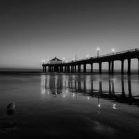 Klnn Tran's profile image