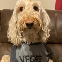 Paul Michelsen's profile image