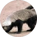 https://ddjkm7nmu27lx.cloudfront.net/410401772/1db805b25e254ee599692c84bf9b2521.png's Profile Image