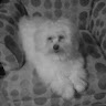 Jacinta L.'s profile image