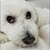 Maggie H.'s profile image