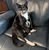 Sheri Tesman's profile image