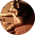Barbara Rayburn's Profile Image