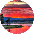 Retta Taylor's Profile Image