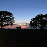 Tom Eth's profile image